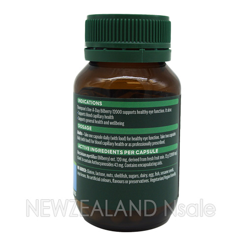 톰슨 원어데이 빌베리12000mg 60캡슐 5통