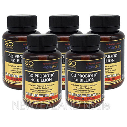 고헬씨 고 프로바이오틱 400억 유산균 60캡슐 5통