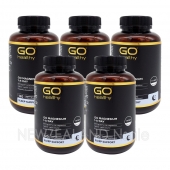 고헬씨 고 마그네슘 원어데이 500mg 120캡슐 5통